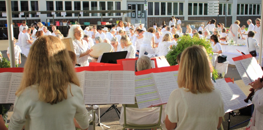 Dîner en blanc 2024